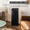 Sony Portable Speaker SRS XP700