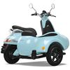 Glide G1 Electric Scooter Sidecar