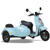 Glide G1 Electric Scooter Sidecar